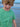Baby/kids 'Take me to the sea' T-shirt - sea gull - Light grass green