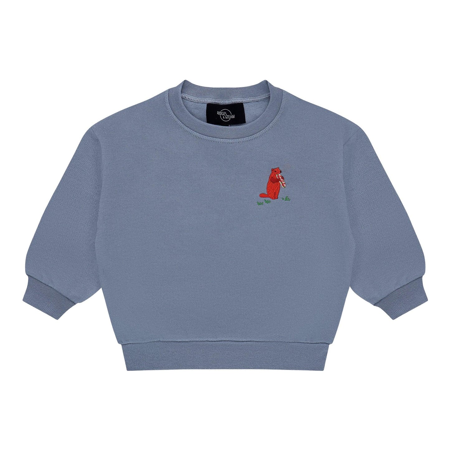 Baby/Kid 'Picnic time' sweater - woudchuck - blue - Ridges And Steam
