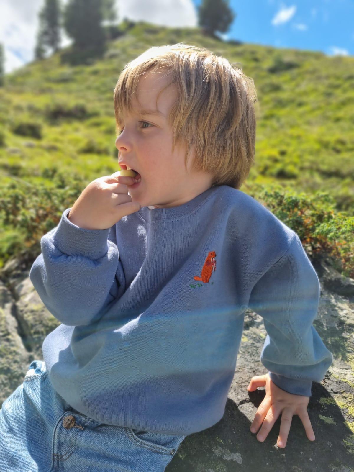 Baby/Kid 'Picnic time' sweater - woudchuck - blue - Ridges And Steam